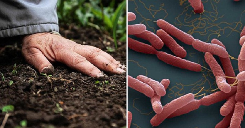 Vi khuẩn gây bệnh có thể có mặt ở khắp mọi nơi